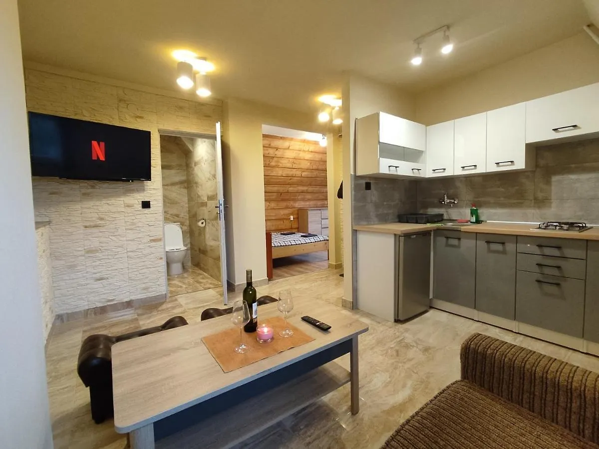 דירה זקופאנה Apartament Sobczakowka